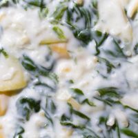 Spinach-Artichoke (vegetarian)