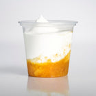 Yogurt – Orange The Classic Floridian